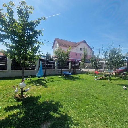 Casa Sincu Bed & Breakfast Cristian  Exterior photo